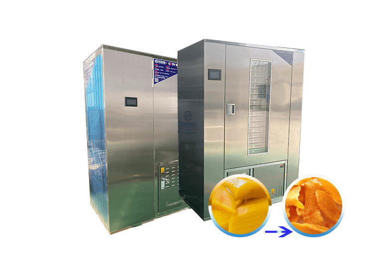 Mango dryer machine